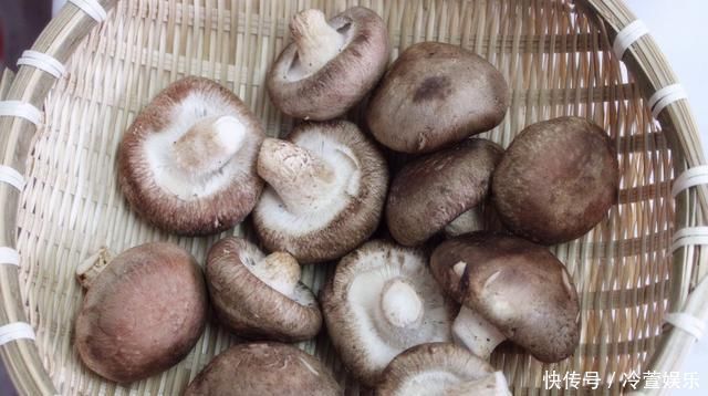 炒菜|清水洗香菇，和没洗一样，教您一招，脏东西和小虫子自动溜走