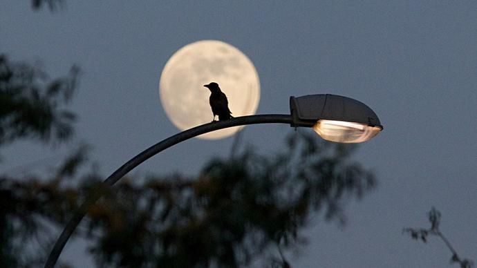 悬挂 全球多地夜空悬挂“超级月亮”