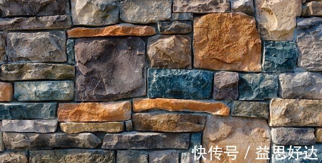 中国历史|5本主角智商如妖的网络小说推荐,剧情烧脑,布局天下