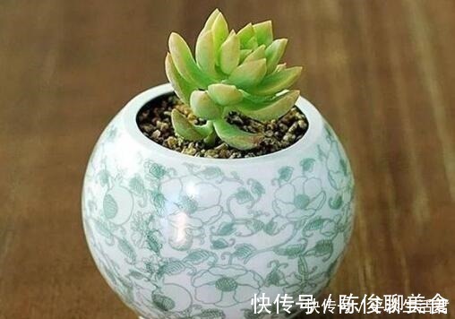 漂亮|这些破烂不要扔，做成“小花盆”，个性又漂亮，比买的强“百倍”！