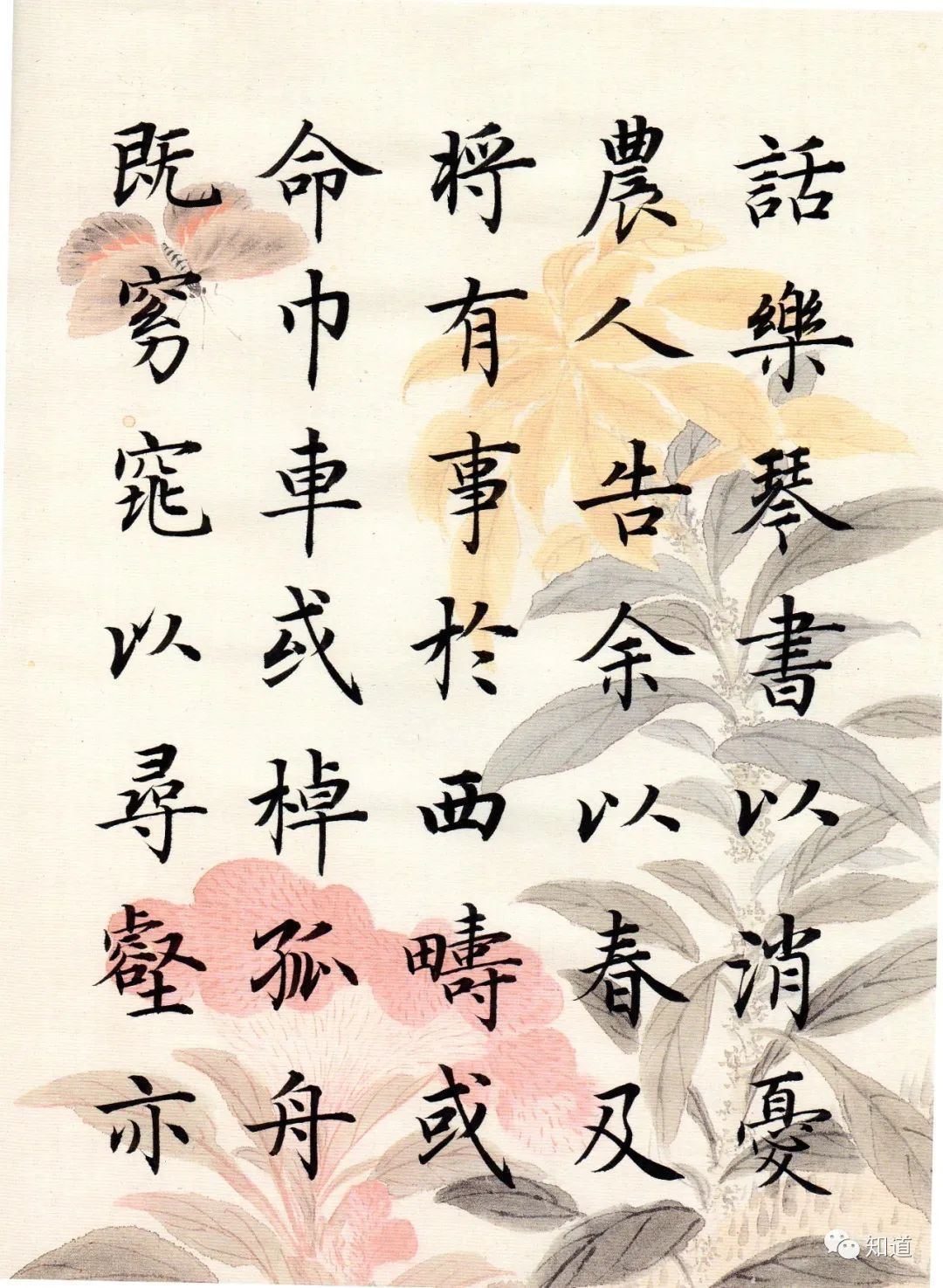 归去来兮辞#书法不可以自学,自学就等于自杀。书法培训老师都这么说