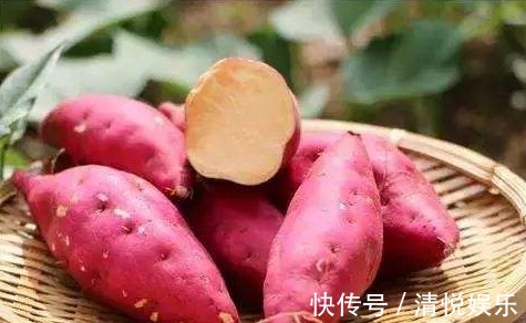 雌性激素|女性过了45岁,三种食物少不了,帮你补足雌激素,六十岁也不显老