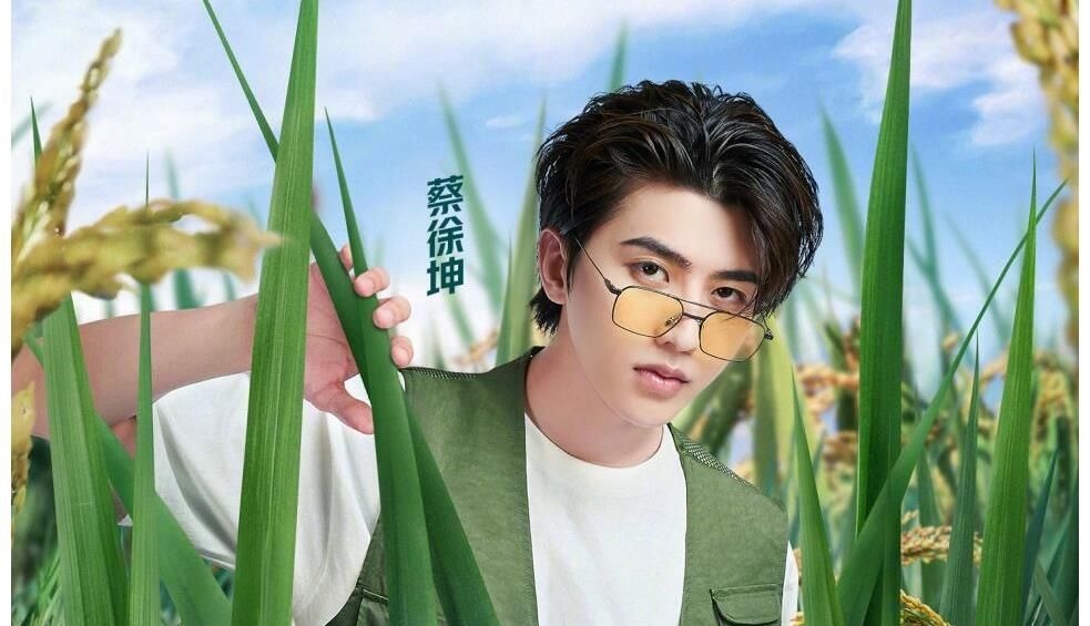 蔡徐坤玩游戏破坏规则却没人管，挺好一游戏最终彻底变了味儿