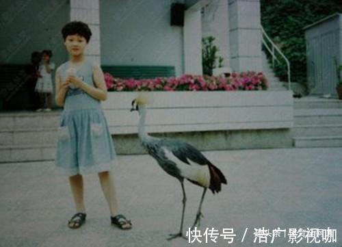 江川|女排张常宁的故事禁赛、拍成人杂志、被网暴,如今情归冠希哥!