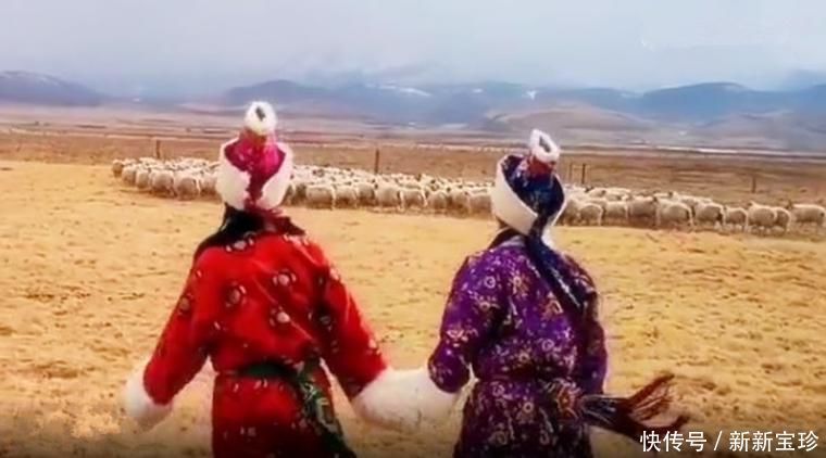 中年|可可托海的牧羊人,被爱的养蜂女为何选择离去,看哭无数姑娘