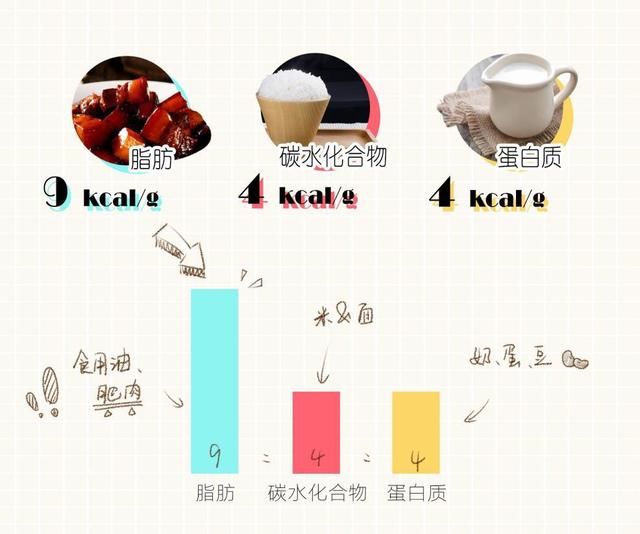 减肥|糖=碳水化合物，减肥期不吃主食就是减糖?你想错了，控糖要理智