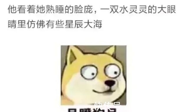 网络小说@吐槽网络小说的迷惑内容，真是没把读者的智商放在眼里