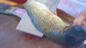宁化|福建宁化：新田冰臼冷水鱼宴触动味蕾