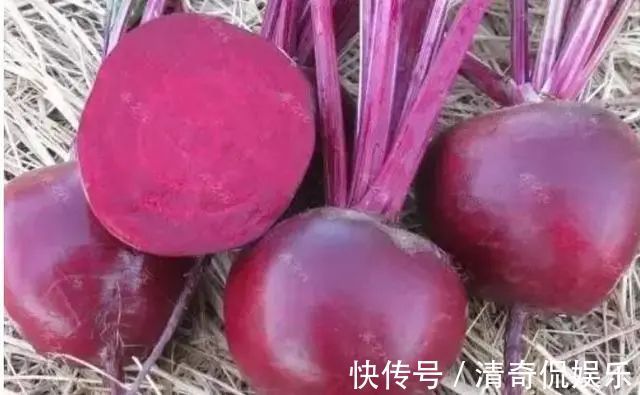 蒲公英根|春天,蒲公英,浑身是宝,对人体有4大好处,但3类人不宜吃