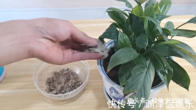 实用|蚊香灰别再倒掉了,收集起来省钱又实用,进来学学吧!