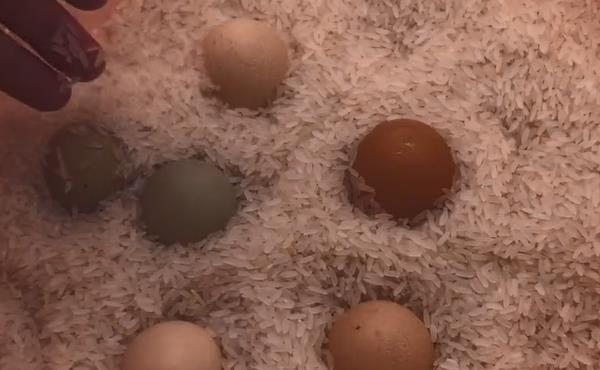 妙用|抓紧把剪刀插进大米里,真是厉害了,现在知道还不晚,快告诉家人