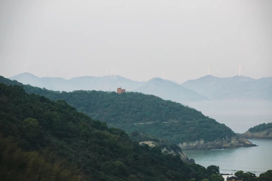 木莲冻|象山的夏天是这样的！