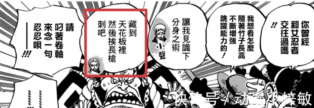 娜美|海贼王1016图解:尾田帮索隆“圆梦”,娜美意外收获四皇招式