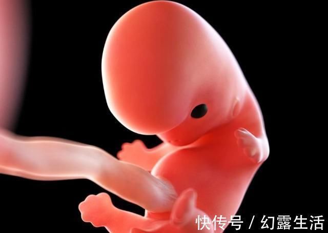 叶酸|怀孕1~40周,每周身体有何变化?送你一份“孕期清单表”!