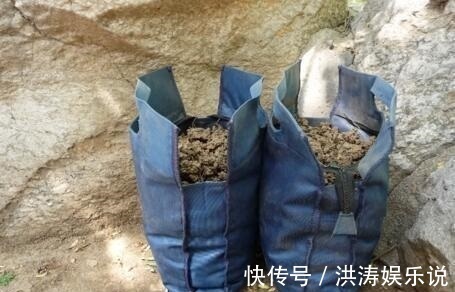 养花用“黄豆肥”臭味浓踏青捡点“万能肥”,无臭味、养啥都旺