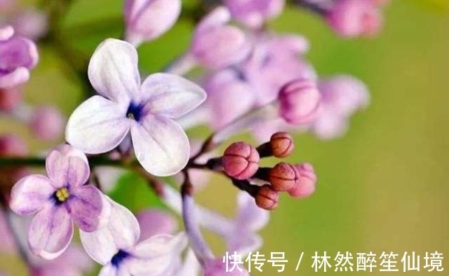 杜牧|唐朝最“肉麻”的一首诗，全诗仅20字，却道尽相思的苦楚