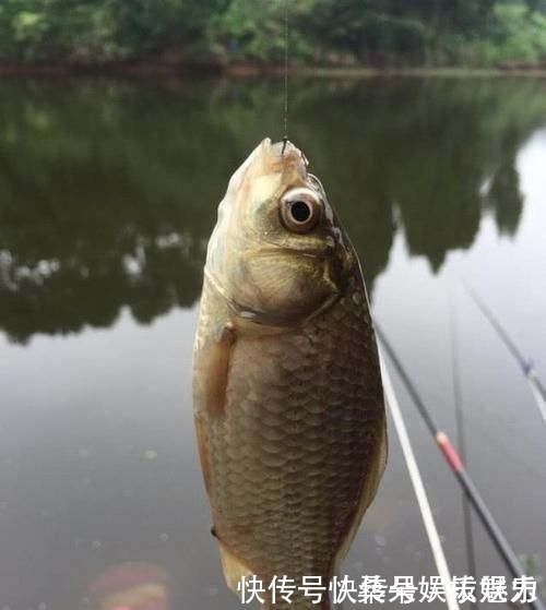 钓鱼遇到没口该怎么办学会这9招，鱼情变化再快也不怕了
