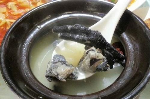 乌骨鸡|女人气血不足老得快？多吃这几样食物，让你面若桃花更显年轻