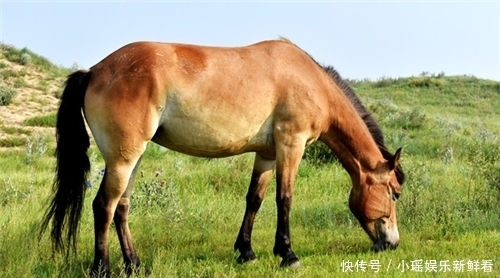 92岁老人无子女,自己花26万建“活人墓”,在墓中设置重重机关!