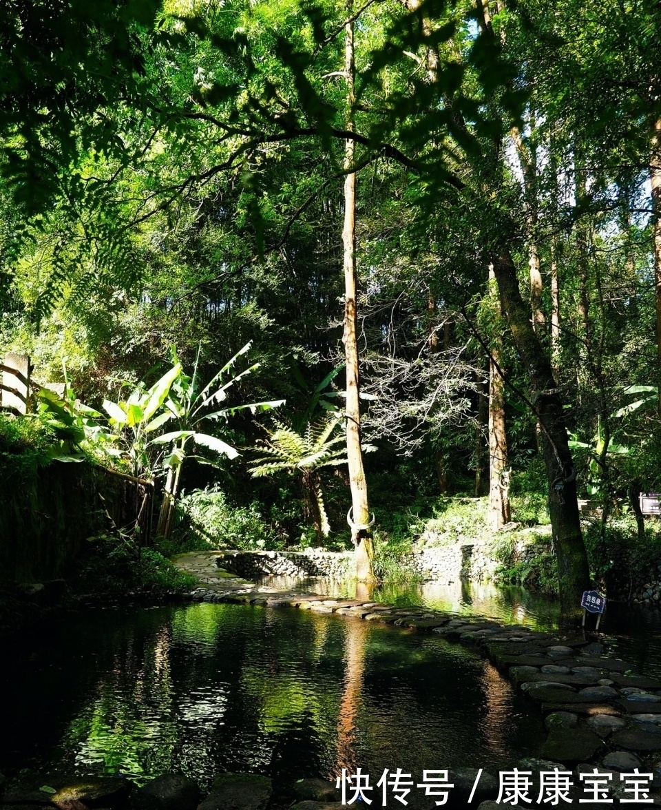 中缅边陲的小山村，曾经贫穷落后，因一位贵人造访如今成为网红地