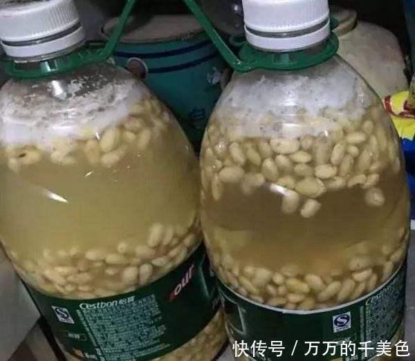 自制一种营养液,比淘米水强10倍,每次浇花用一点,叶子油亮乌黑