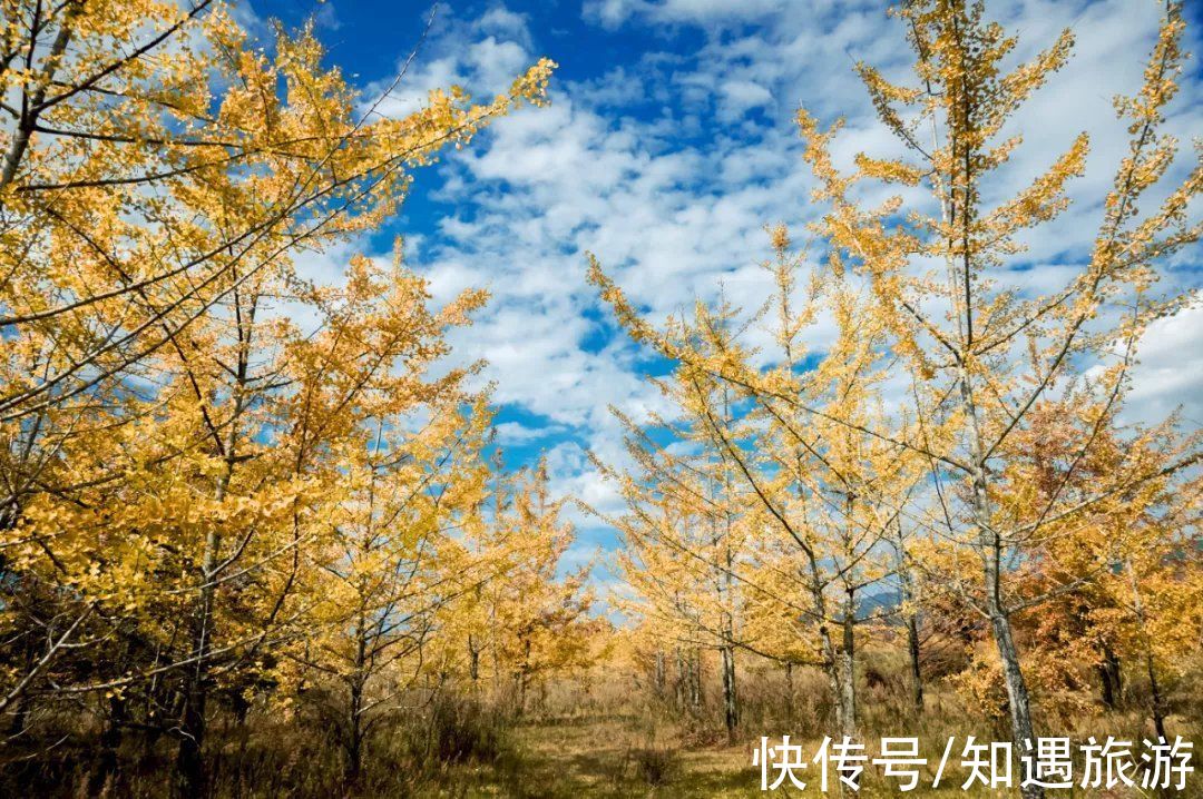 自驾|最值得一去的6处秋景，太美了！短暂的秋季美好，千万别错过