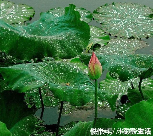 自然界|给手脚冰凉,上热下寒的你一年中适合调理的时机到了!