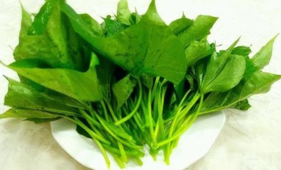 营养价值|这些野菜营养价值极高,小朋友最爱吃,增强免疫力,一年少生病!