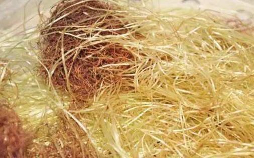 患上了糖尿病,几种食物要舍得吃,血糖或许会保持的稳稳地