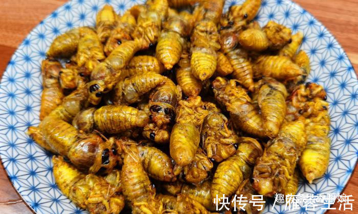 吃肉|三伏天，宁可不吃肉，遇到此美味别手软，高营养高蛋白，别不懂吃