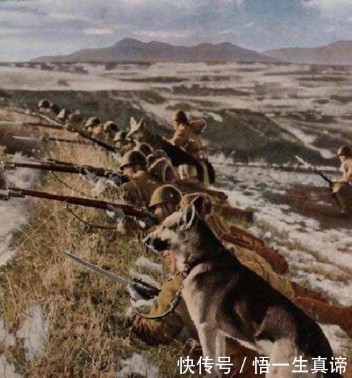 轻敌|轻敌大搞群众活动,上千八路军遭日军围困,步兵逆袭敌骑兵突围