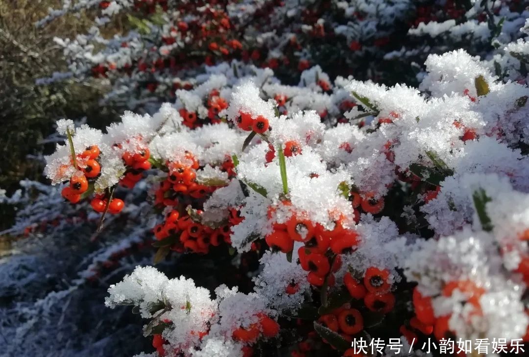 写意天池，童话天子山，一波云龙雪景美图来袭