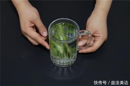 丝瓜皮不要再扔了,这几个妙用很多人都不知道,你也试试吧