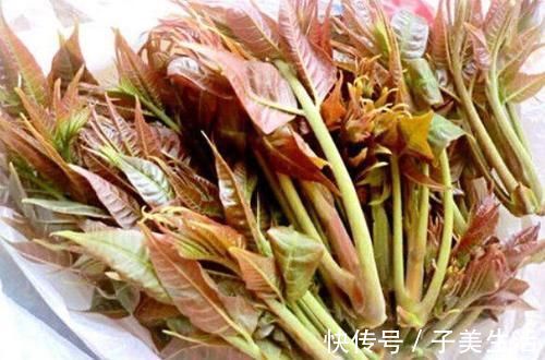 此6种蔬菜不焯水“不可以吃”,多数人都不晓得,还一直再吃