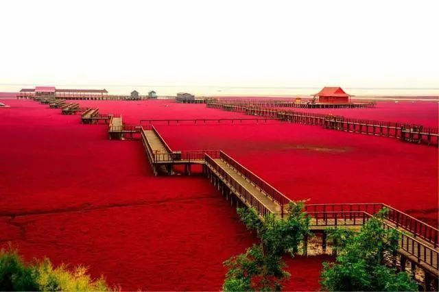 中国最美六大沼泽湿地,养在深闺无人识,去过的都惊叹不已