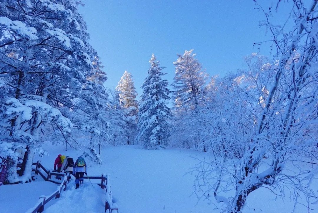 林海雪原|穿林海，跨雪原，走进梦幻雪山，挑战镜泊湖蓝冰徒步