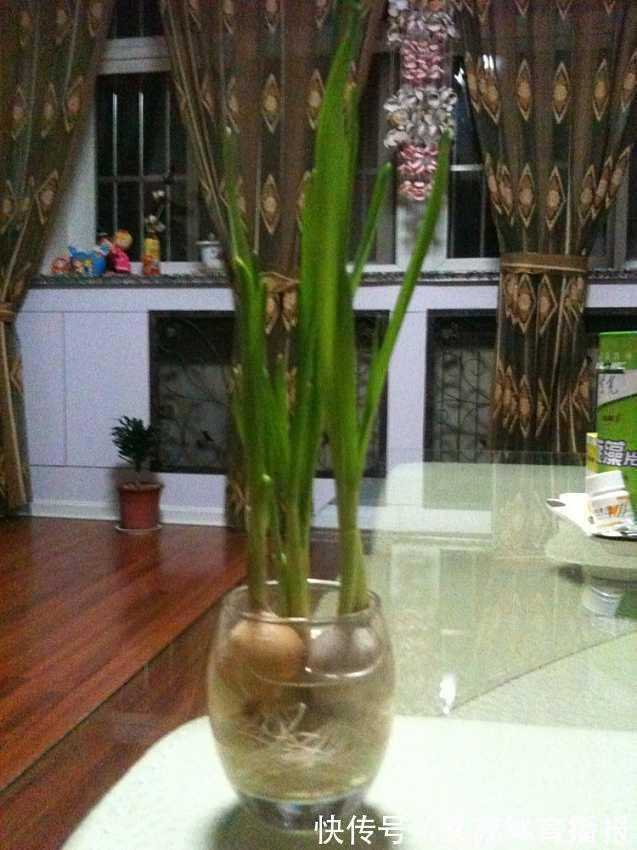 家里的油桶作用大,别扔,一个月不愁菜吃