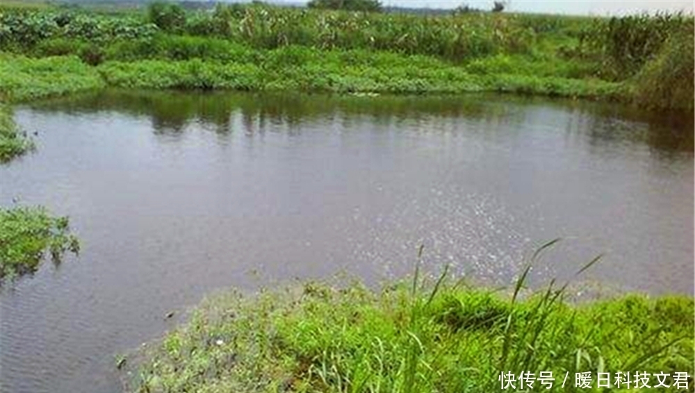水闸|夏季钓不到鱼?往往是气压低导致鱼儿不开口,换个招数,轻松钓鱼