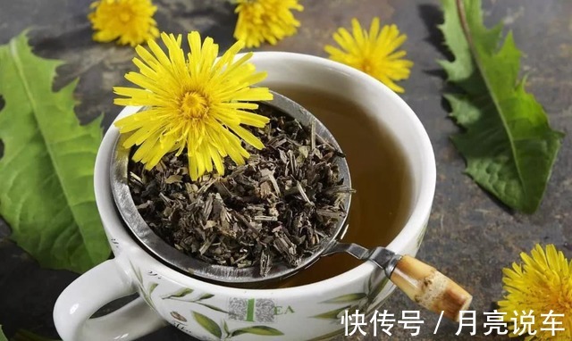 蒲公英提取物|中药又立功?蒲公英两天内就能杀死98%癌细胞、消结节?揭开真相