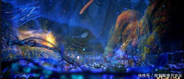 身子|斗罗唐三不会感到害羞嘛光着身子到处走,爸爸您看我大不大!