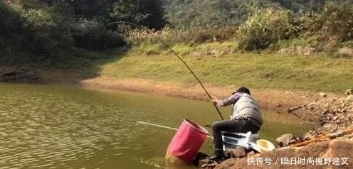 鲤鱼|水库钓鲤鱼技巧