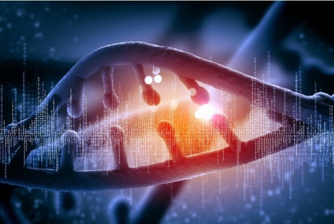 胰腺癌|一个残忍的事实:家人得了这5种癌症,可能会一代代“遗传”下去