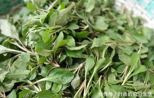 路边一种野菜，长在杂草中一点不起眼，人称“马兰头”，营养高