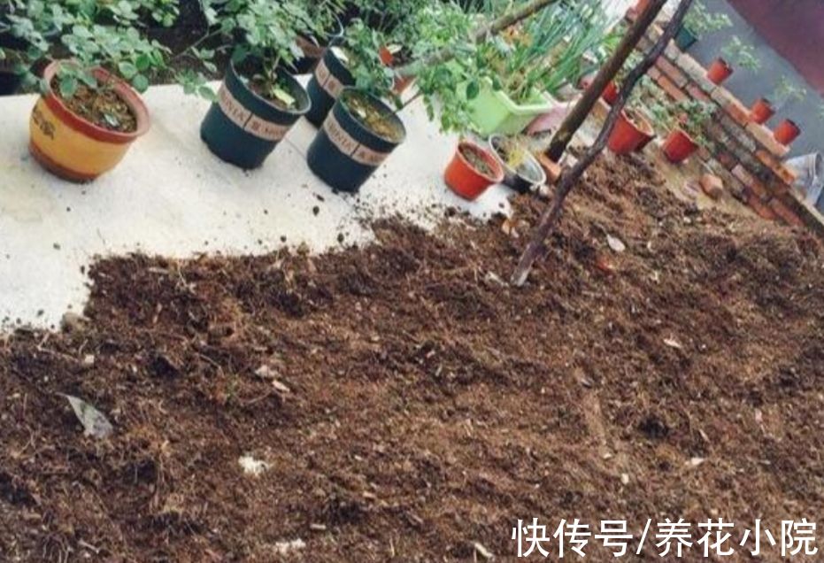 用松针土养花,要做好3件事,否则啥花也长不好