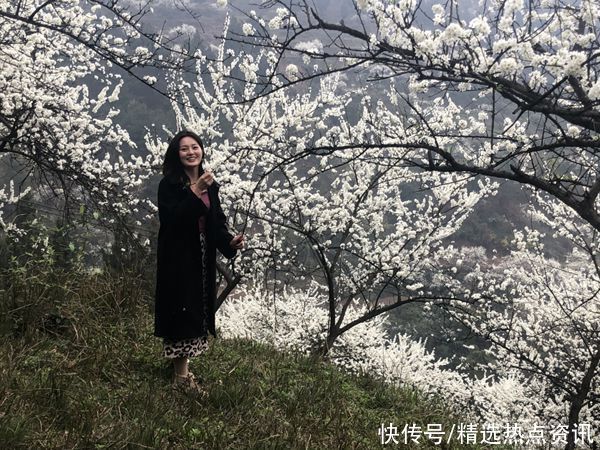 文化|习水：万亩李花盛开 春色满山