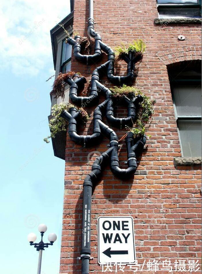 apple&65个活久未见的设计,一战纪念碑是一家人的“合影”,但缺一个人