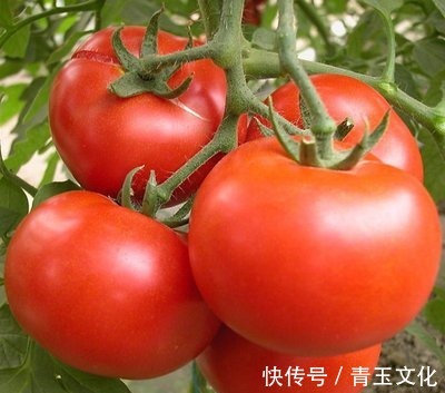 养颜|女性想要皮肤好,要坚持吃四种食物,淡化皱纹、滋润身体