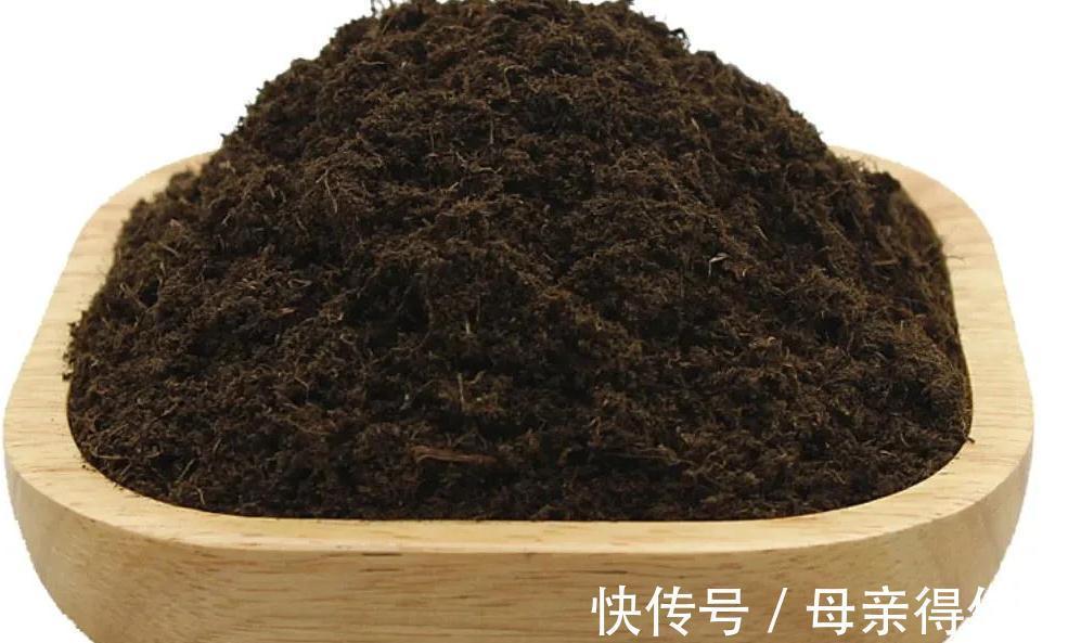 松针土可以养多肉吗,有什么好处,应该注意什么事项