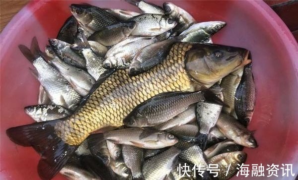 钓鱼|这东西1块钱1个,用来钓鱼很不错,比某些商品饵料还给力,别错过