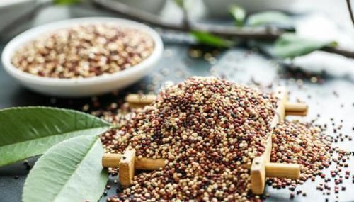 热量|有4种主食,热量低,脂肪低,代替馒头米饭,难怪怎么吃也不胖